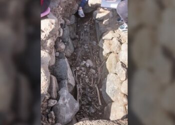 بربر” شمال أفريقيا أول مَن استوطن “جزر الكناري