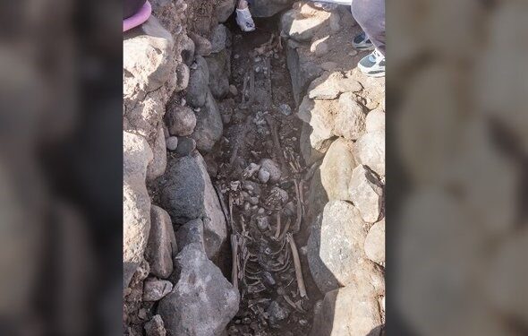 بربر” شمال أفريقيا أول مَن استوطن “جزر الكناري